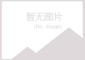 兰山区白山服务有限公司